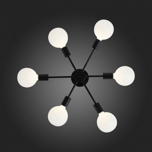 Потолочная люстра ST Luce Ano SL419.402.06