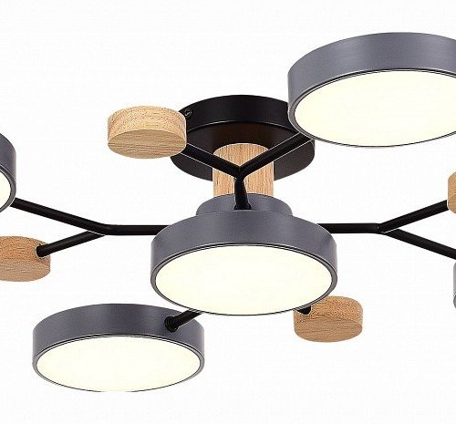 Потолочная люстра EVOLUCE Faema SLE6006-702-05