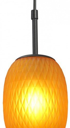 Потолочная люстра Vitaluce V2821-1/1S