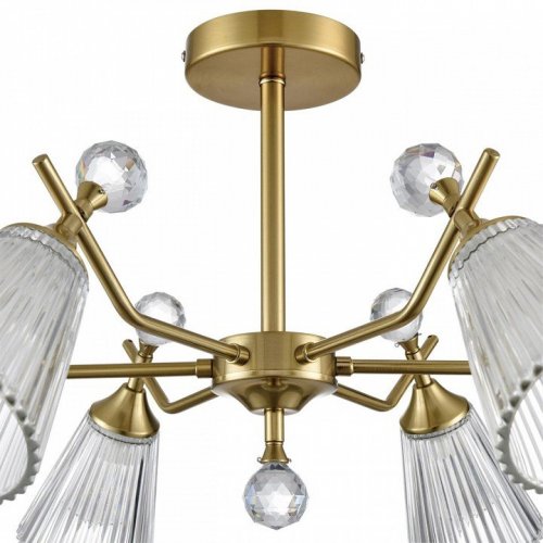 Потолочная люстра Lumion Aurica 8046/6C