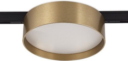 Трековый светильник Luna DL20735WW12Br