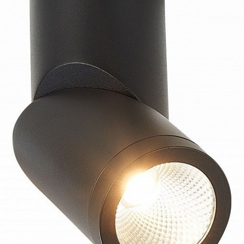 Светодиодный спот ST Luce ST650.442.10 Светодиодный спот ST Luce ST650.442.10
