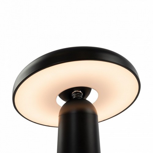 Интерьерная настольная лампа Freya Mushroom FR6109TL-L4B
