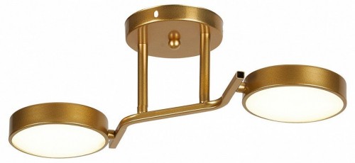 Потолочная люстра Escada Starlight 10273/2LED Потолочная люстра Escada Starlight 10273/2LED