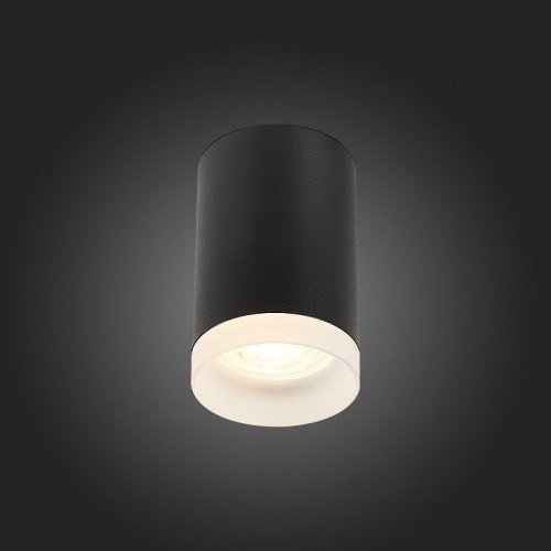 Потолочный светильник ST Luce ST100.402.01