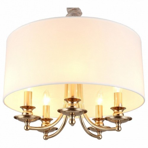 Подвесная люстра Aployt Berze APL.721.06.05 Подвесная люстра Aployt Berze APL.721.06.05