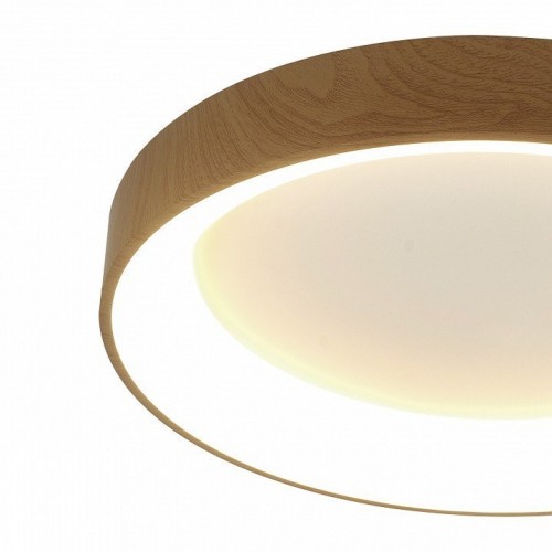 Потолочный светодиодный светильник Mantra Niseko II 8588