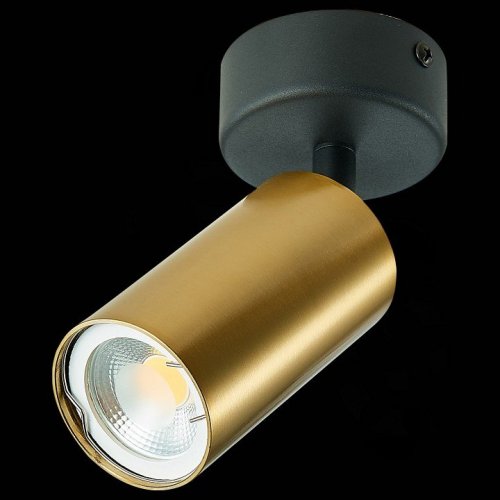 Спот ST Luce ST303.202.01 Спот ST Luce ST303.202.01