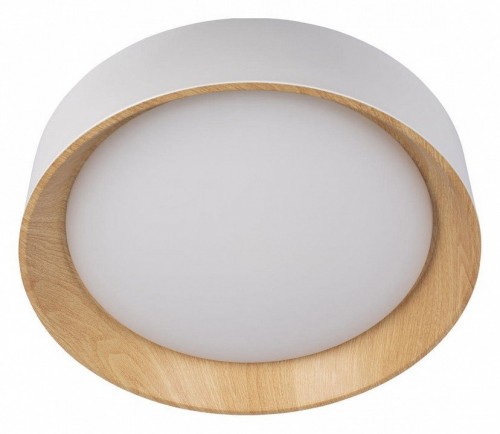 Потолочный светильник Loft IT Coin 10202 White