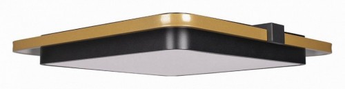 Потолочный светильник Loft IT Mike 10172 Потолочный светильник Loft IT Mike 10172