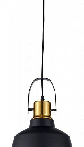 Подвесной светильник Arti Lampadari Priamo E 1.3.P2 B