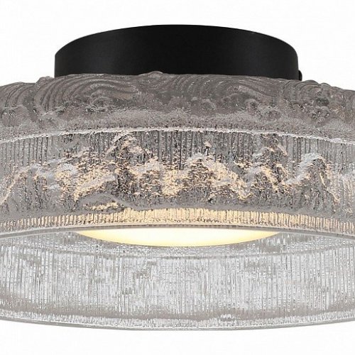 Накладной светильник ST-Luce ANTIKE SL6143.402.01