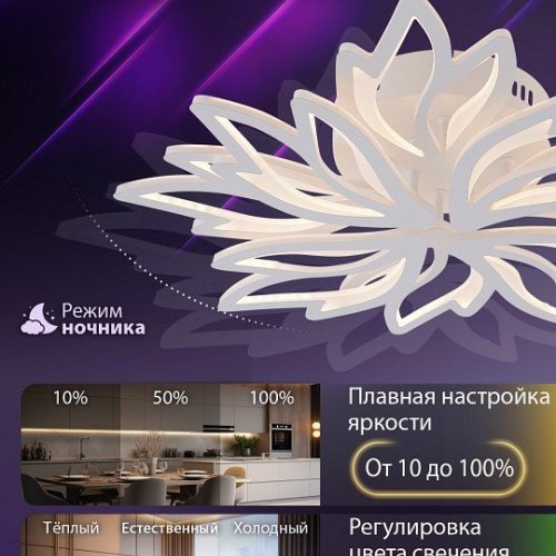 Потолочная люстра Natali Kovaltseva Rif LED LAMPS 81118/6C