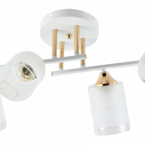 Люстра на штанге Rivoli Georgiana Б0055878 Люстра на штанге Rivoli Georgiana Б0055878