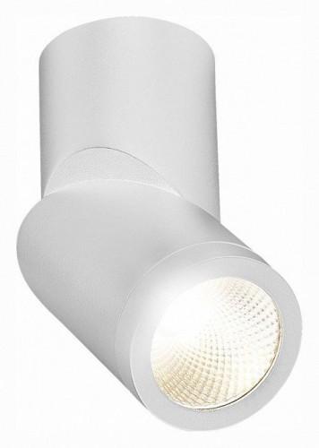 Светодиодный спот ST Luce ST650.542.10 Светодиодный спот ST Luce ST650.542.10