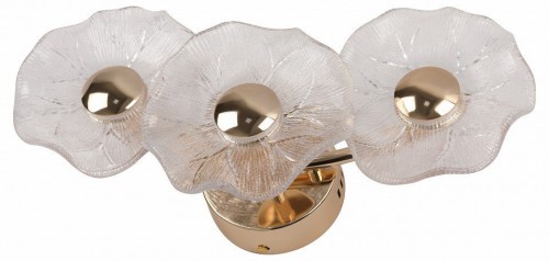 Бра Rivoli Shannon 6135-401 Б0061948