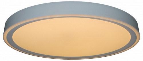 Потолочный светильник Zortes Bella ZRS.1200.09