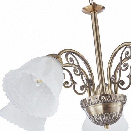 Подвесная люстра Arte Milano Amalfi-8544 338544/5 AB Подвесная люстра Arte Milano Amalfi-8544 338544/5 AB