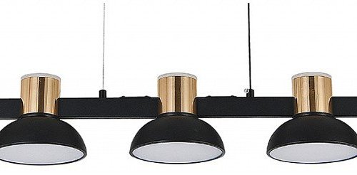 Подвесной светильник Indigo Traforo 11059/5PL Black Подвесной светильник Indigo Traforo 11059/5PL Black