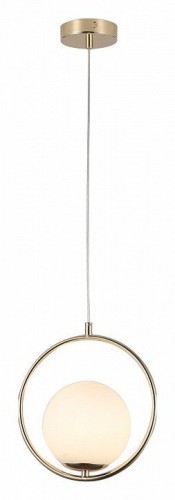 Подвесной светильник F-Promo Oportet 2786-1P