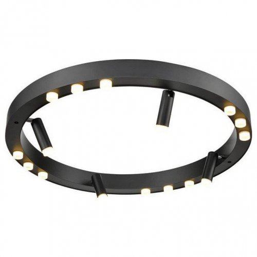 Потолочный светильник Vele Luce Satellite VL7172L12