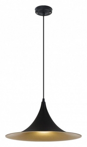 Подвесной светильник Arte Lamp Carmel A7080SP-1BK