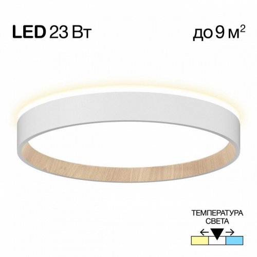 Настенно-потолочный светильник Citilux Etalon CL750240 Настенно-потолочный светильник Citilux Etalon CL750240