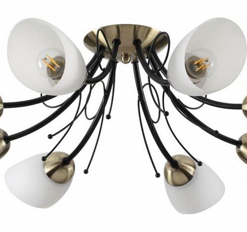 Потолочная люстра Lumion Eliana 4592/8C