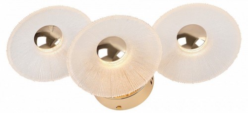 Бра Rivoli Helena 6134-401 Б0061946