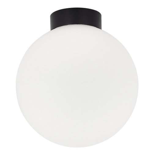 Настенно-потолочный светильник Munich DL18031G9Black 200