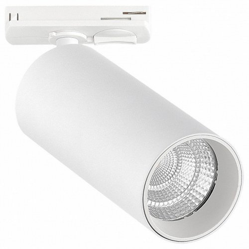 Трековый светодиодный светильник ST Luce ST384.536.20