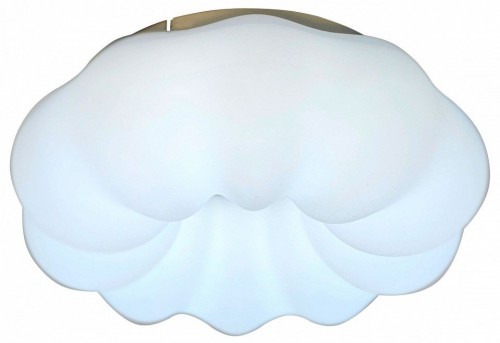 Потолочный светильник Zortes Soft ZRS.1118.2 Потолочный светильник Zortes Soft ZRS.1118.2