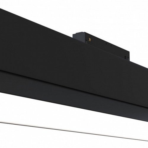 Трековый светильник Maytoni Track lamps TR013-2-20W3K-B Трековый светильник Maytoni Track lamps TR013-2-20W3K-B