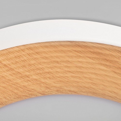 Потолочный светильник Loft IT Folk 10255/500 White