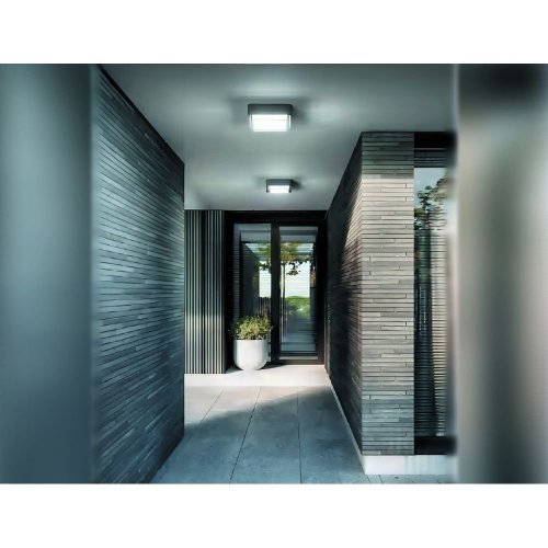 Уличный потолочный светильник Italline IT6028