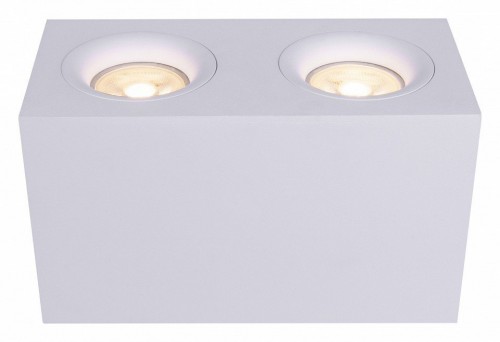 Потолочный светильник Maytoni Technical Slim C013CL-02W