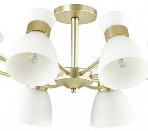 Потолочная люстра Lumion Wilma 4535/8C