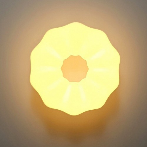 Потолочный светильник Zortes Soft ZRS.1118.2 Потолочный светильник Zortes Soft ZRS.1118.2