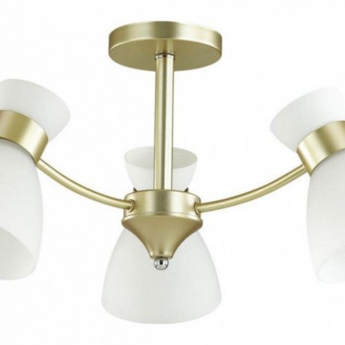 Потолочная люстра Lumion Wilma 4535/3C Потолочная люстра Lumion Wilma 4535/3C