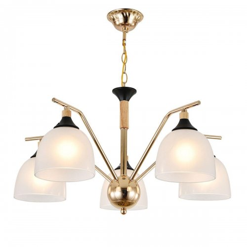 Подвесная люстра Reluce Escada Actinidia 2123/5P Подвесная люстра Reluce Escada Actinidia 2123/5P