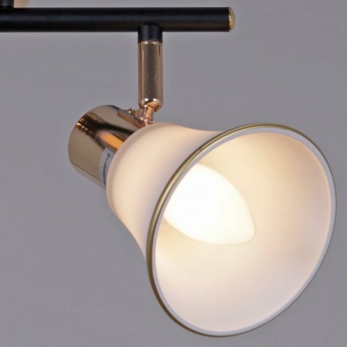 Спот  05901-0.8-04 BK+FGD