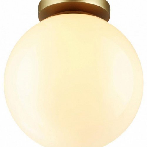 Потолочный светильник Odeon Light Bosco 4248/1C