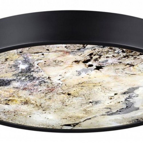 Настенно-потолочный светильник Odeon Light Bergi 5064/30L