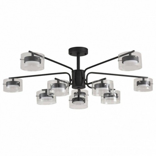 Потолочная люстра Lumion Natalina 8349/10C