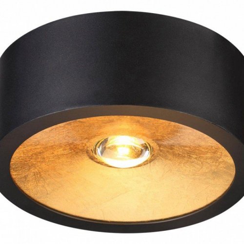 Потолочный светильник Odeon Light Glasgow 3878/1CL