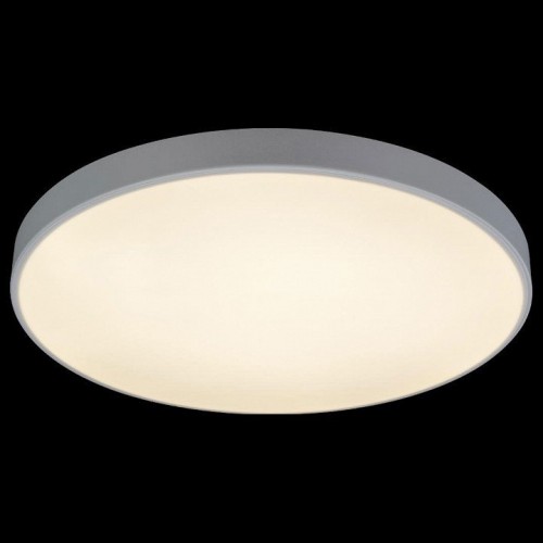 Потолочный светильник Loft IT Axel 10002/48 White