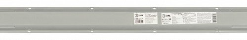 Настенно-потолочный светильник ЭРА SPP-2 SPP-202-0-40K-L36