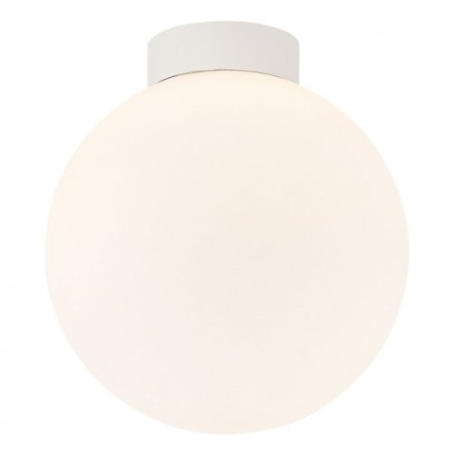 Настенно-потолочный светильник Munich DL18031G9White 200