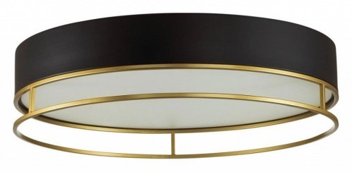 Потолочный светильник Sonex Lofty 7723/65L