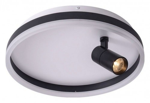 Потолочный светильник Zortes Raizy ZRS.1888.03